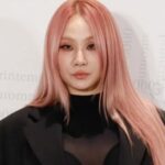 CL (씨엘)