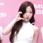 STELLA (스텔라)