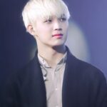 Im Hyun-sik (임현식)