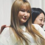 LE (엘이)