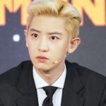 CHANYEOL (찬열)