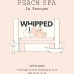 WHIPPED ホイップド ビーガンクレンザー 聖水 ソウル