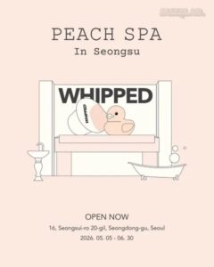 WHIPPED ホイップド ビーガンクレンザー 聖水 ソウル