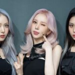 VIVIZ、和解金認められBig Planet Madeに仮処分