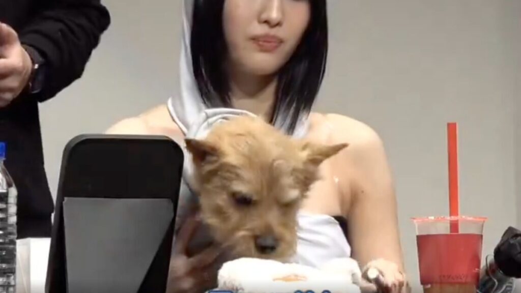 TWICE MOMOのファンへの態度変化が話題