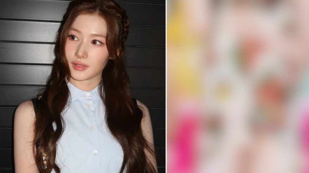 TWICEのサナ「アンダーウェア」衣装に反発