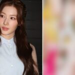 TWICEのサナ「アンダーウェア」衣装に反発