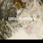 TXT 11月16日ミニアルバム「PERFECT STORM」発売