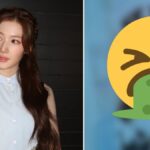 TWICEサナ「シーズングリーティング」写真物議
