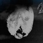 南友鉉、10周年記念アルバム『2X8』リリース